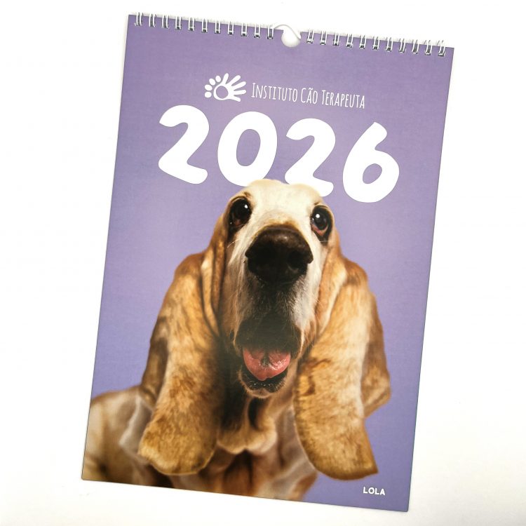 Calendário de Parede 2026