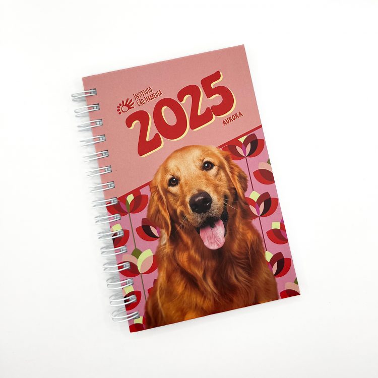 COMPRE 1, LEVE 2: Agenda 2025