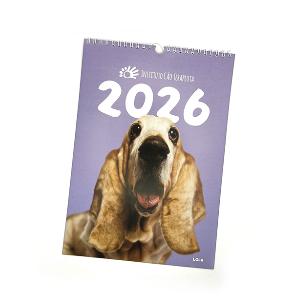 Calendário de Parede 2026