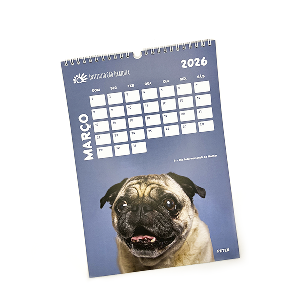 Calendário de Parede 2026