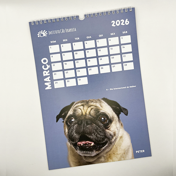 Calendário de Parede 2026