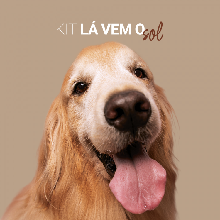 Kit Lá vem o Sol