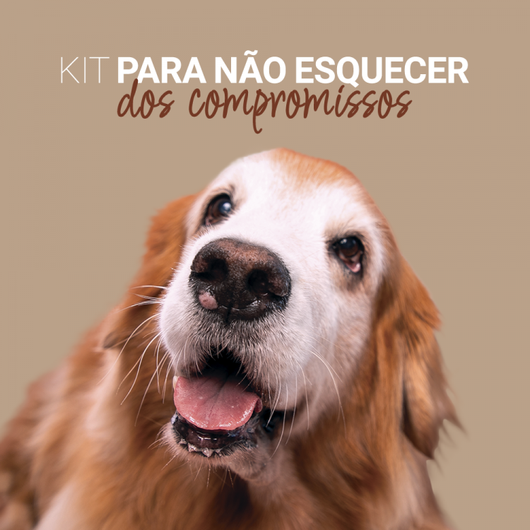 Kit Para não Esquecer dos Compromissos