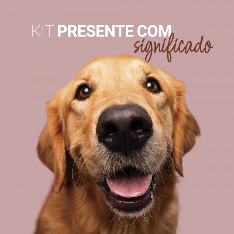 Kit Presente com Significado