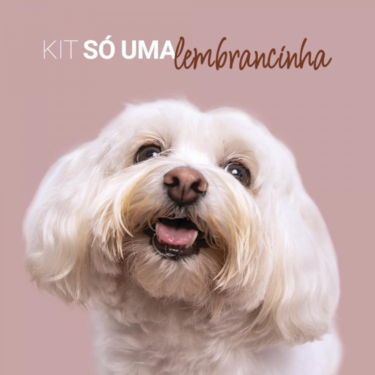 Kit Só uma Lembrancinha