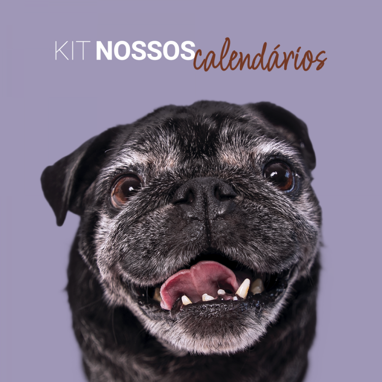 Kit Nossos Calendários